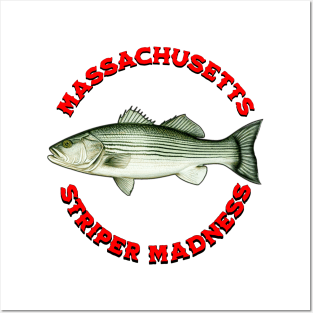 Striper Madness Massachusetts Striped Bass Fishing Posters and Art